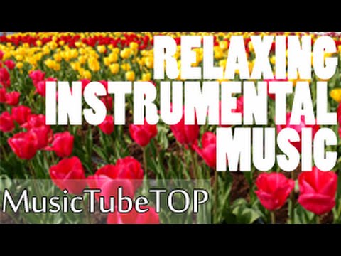 1 HOUR Peaceful Relaxing Instrumental Music Long 1 HOUR Peaceful Relaxing Instrumental Music Long