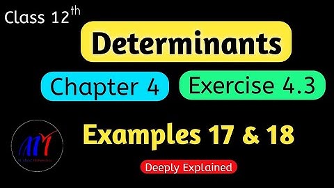 Chapter 4 Determinants Exercise 4.3 ( Examples 17 & 18 ) Class 12 Maths | NCERT Solutions