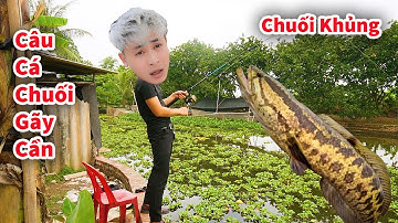 Cáo Ca - Câu Được Cá Chuối Gãy Cả Cần Hỏng Máy Quay || Hậu Cáo Câu Cá