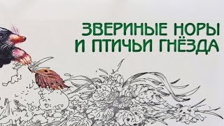 Звериные норы и птичьи гнёзда. Великан на поляне