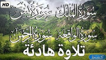 سورة الملك + سورة يس + سورة الرحمن + سورة الواقعة  قران كريم بصوت جميل جدا - القارئ احمد حلاوة