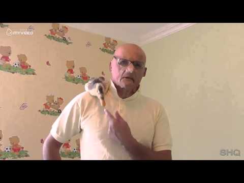 50 კაცის მოზასავეს ბაბუა გამოეხმაურა