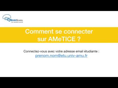 Comment se connecter sur AMeTICE ?