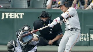 ユーティリティ内野手　山本泰寛