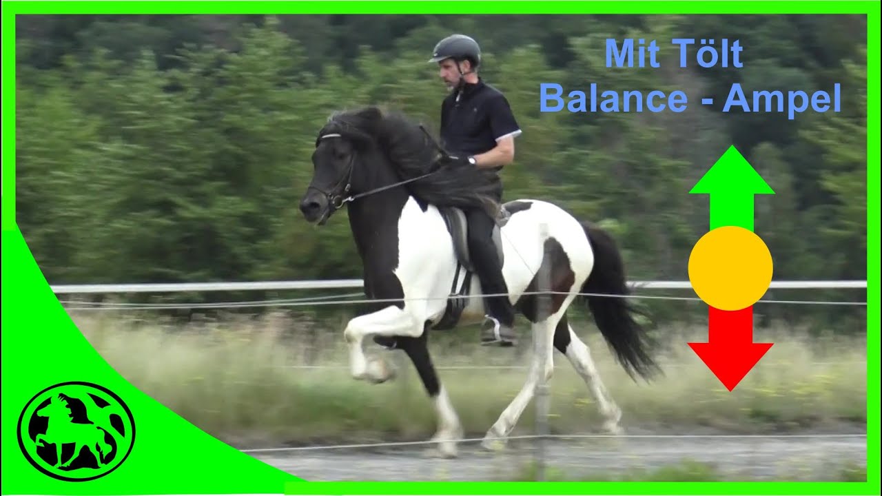 Balance ist alles, oder warum Tölt nicht mit Dehnungshaltung 