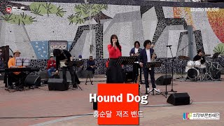Hound Dog - 홍순달재즈밴드