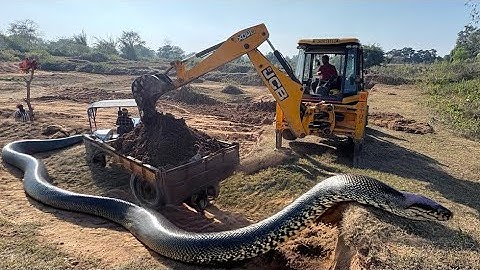 JCB 3dx xpert Loading Mud in Mahindra 475 Di tractor JCB miti khudai work JCB video #jcb #jcbkhudai