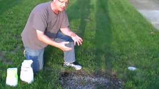 How to Grow Grass From Seed - How to Plant Grass From Seed