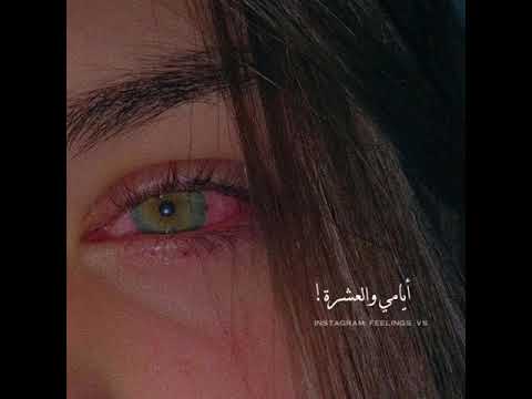 ما وقفت بعينك أيامي والعشرة ومواقف ما تنعد