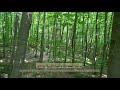 Ахмад Хадр  -  Аль-Ахзаб (59-73) | Сура Союзники | Forest 4K