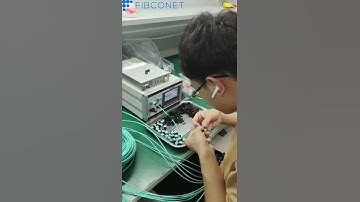 mpo patch cord production