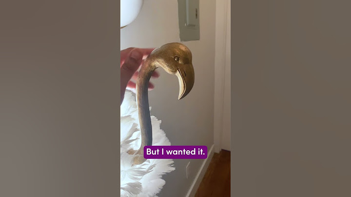 The weirdest items you never knew you wanted! #shorys #aesthetic #flamingo #weird #lamp #decor #home