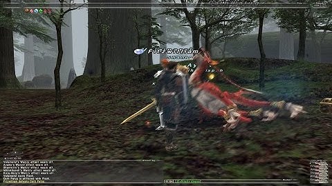 FFXI (Final Fantasy 11) PRIVATE SERVER - HOW TO CONNECT