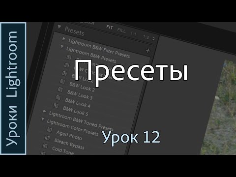 Уроки Lightroom. Урок 12. ПРЕСЕТЫ. Установка пресетов в программе Adobe LIGHTROOM.