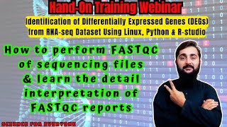 Comprehensive FastQC Tutorial on Linux: In-Depth Sequencing Data Quality Report Interpretation