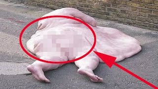 ЧТО БУДЕТ,ЕСЛИ ВЫПИТЬ 5 ЛИТРОВ ВОДЫ
