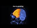 How the brain changes with gambling - 30secs