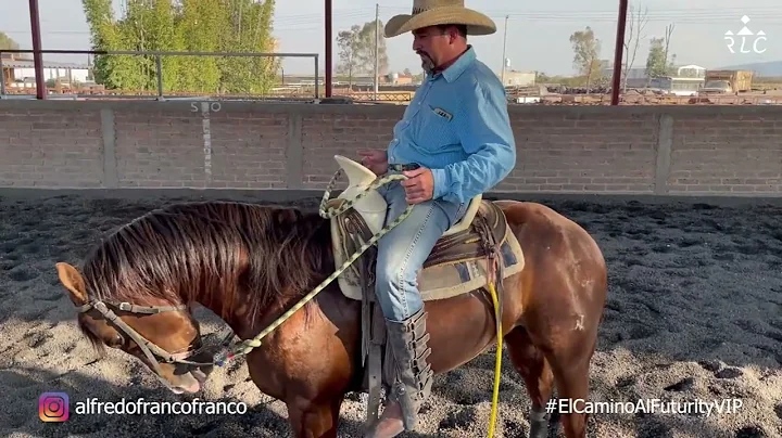 C14P4 EL CAMINO AL FUTURITY VIP - Alfredo Franco