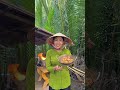 Món ăn quê hương miền tây “ Tép rang dừa”