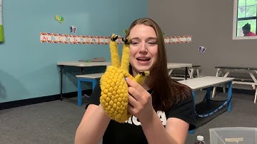 Bee Hive puppet show