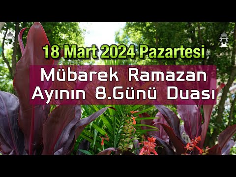 Ramazan Ayı 8. Günü Duâsı | Allah’ım! Bizi her türlü fitne, bela ve musibetten koru.