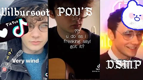 Wilbursoot POV'S to brighten up your day (X y/n) |...