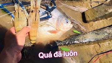 Câu tôm càng xanh chà bá trên sông miền tây