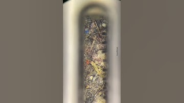 deep cleaning iphone