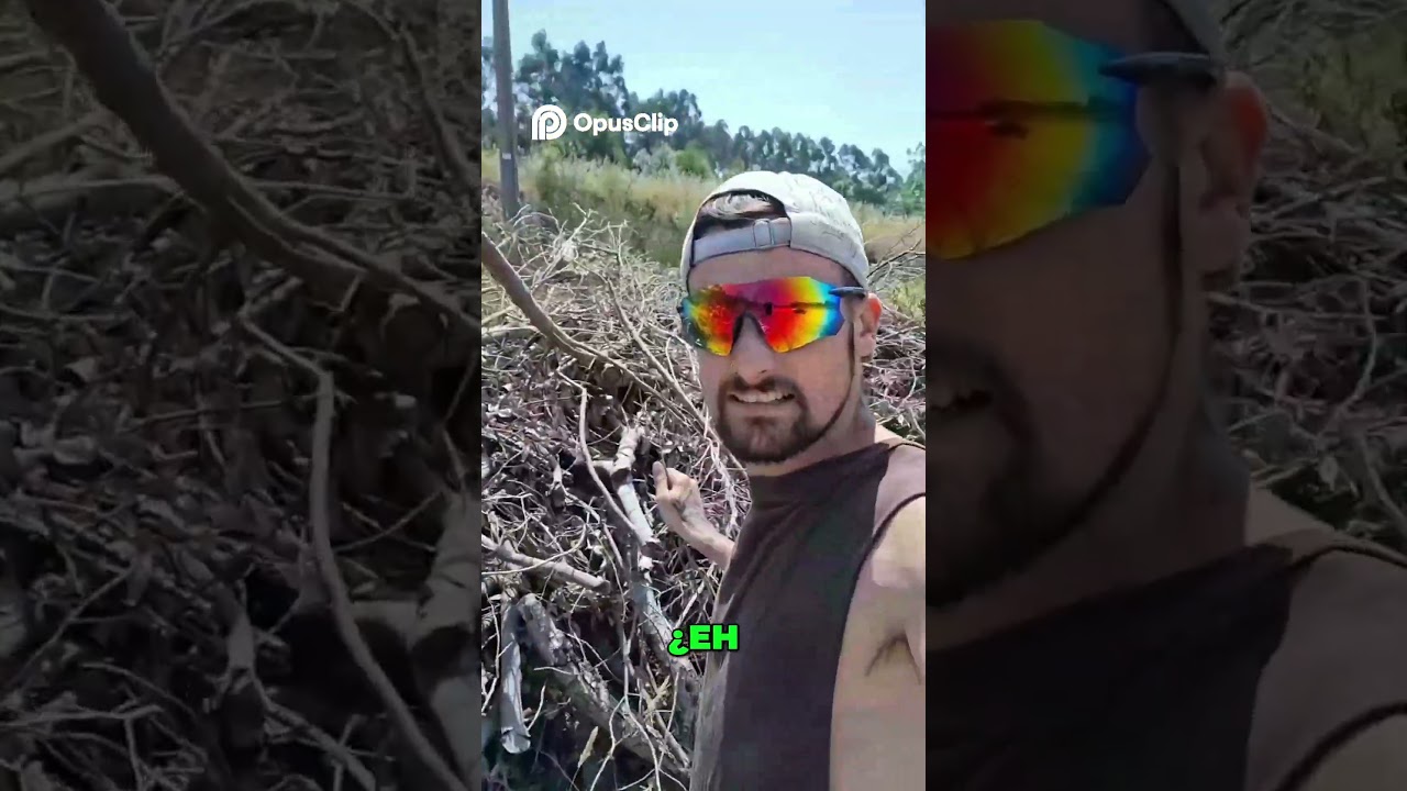 El Problema del Cristal  en Verano en Vilagarcía , Galicia