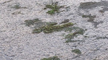 Hennepin County Uses Inspections, Drones to Prevent Spread of Aquatic Invasive Species