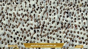 سورة البلد  الشيخ فيصل غزاوي