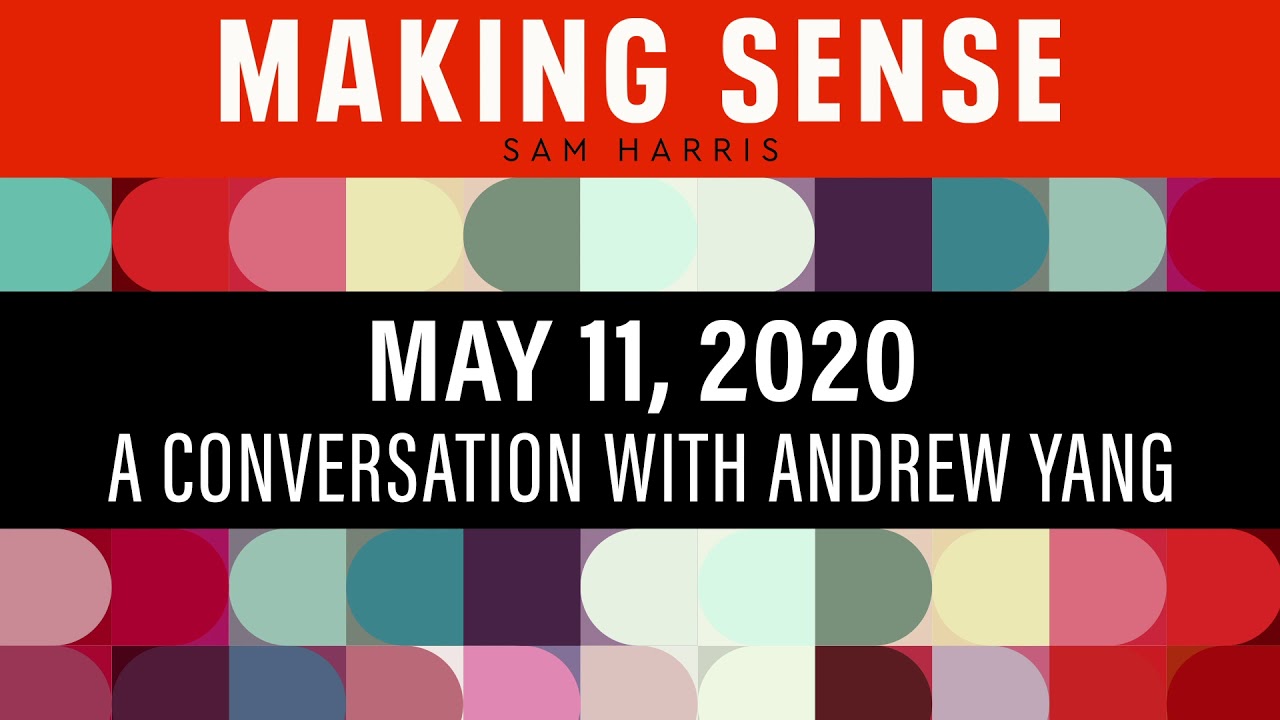 A Conversation with Andrew Yang (Episode #202)