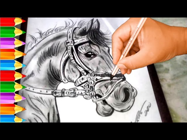 como desenhar um cavalo realista - speed drawing - Curso de