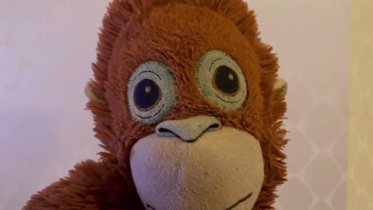 The Nerdic Coder Responded to Me, Here is My Response.