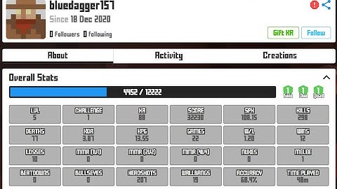 Krunker Hacker report ign: bluedagger157