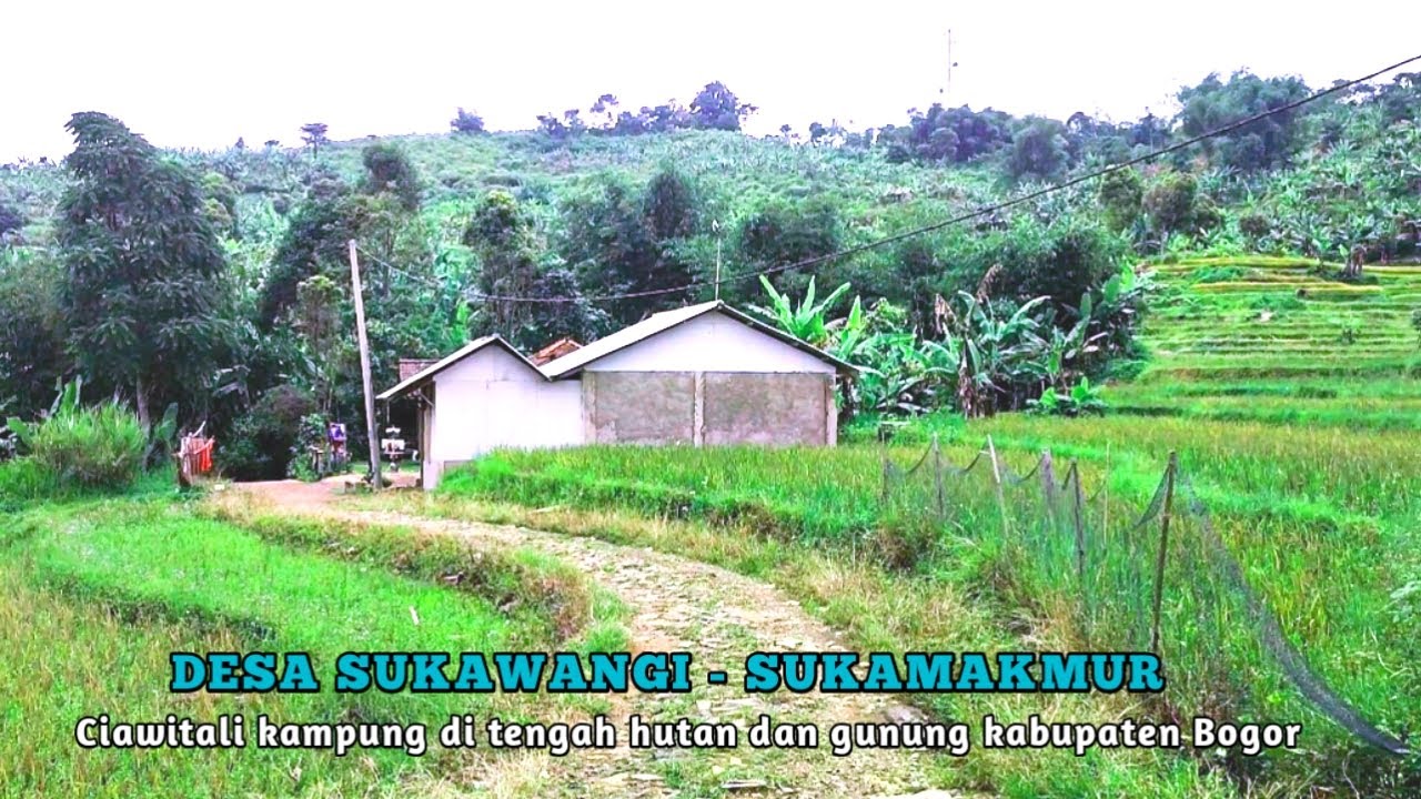 Suasana desa di Jawa Barat, desa SUKAWANGI kecamatan sukamakmur kabupaten Bogor
