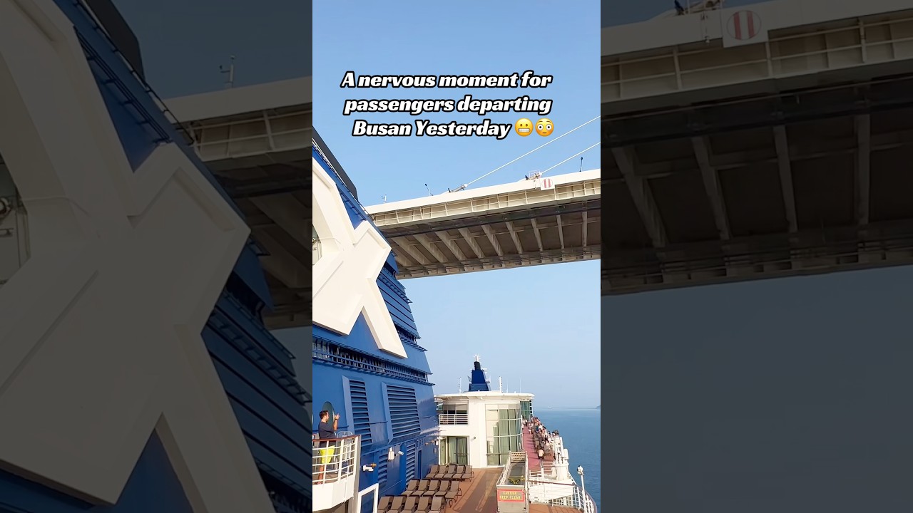 😱 ARE WE GOING TO HIT THE BUSAN HARBOUR BRIDGE?! 🚢🌉