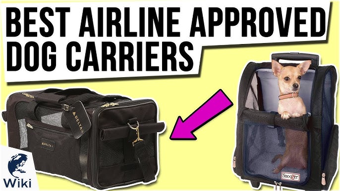 ✓Top 5 Best Airline Approved Pet Carriers Review in 2023 