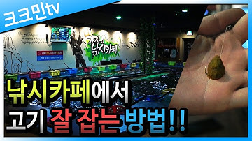 실내낚시터 고기 잘 잡는 팁(낚시카페)