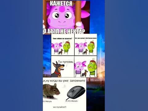 мееемы - YouTube