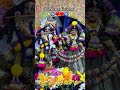 #god#krishna#radhakrishna#radheshyam#krishnabhajan#radheradhe#devotional#bhakti#bhajan#spiritual