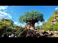 Disney's Animal Kingdom 2021 Complete Walking Tour in 4K | Walt Disney World Orlando Florida