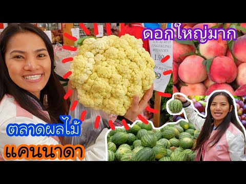 วีดีโอ: แคนาดานำเข้าผลไม้จากที่ไหน?