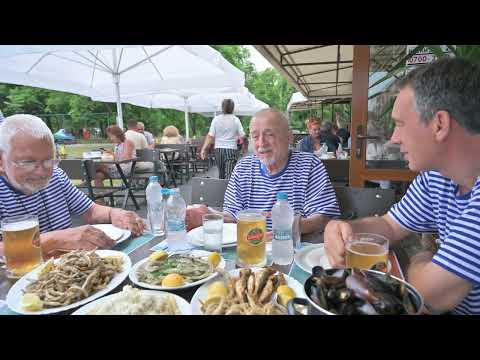 Стефан Диомов, Недялко