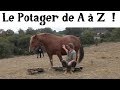 Le Potager de A à Z -9- (l'eau)