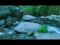 Stream Sounds for Sleep for Stress Relief in a Mountain Valley – Deep Relaxation – Stop Overthinking
