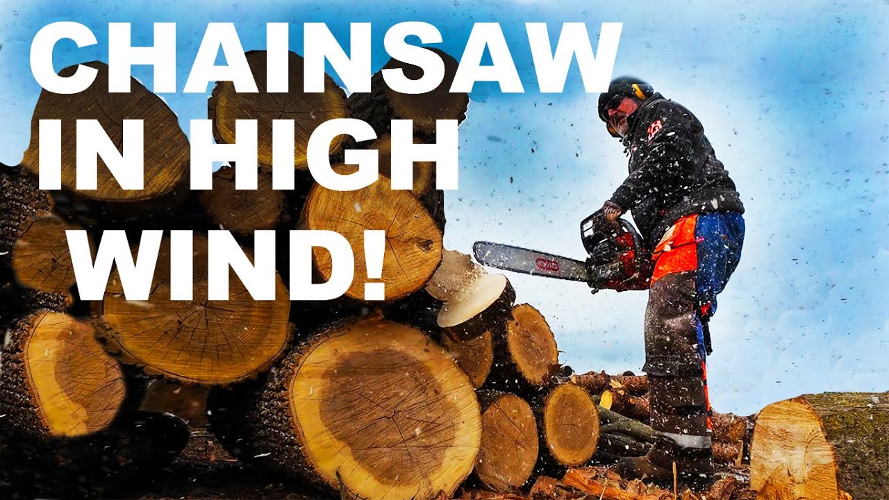 FIREWOOD PRODUCTION IN 40 MPH WIND!