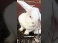 @clairelawson2015:  Well guys guess whos been doing unauthorised digging this morning 😮😂