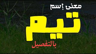 معنى اسم تيم وصفات حامل الاسم وما معنى اسم تيم في الاسلام وحكمه الشرعي وشخصيته في علم النفس