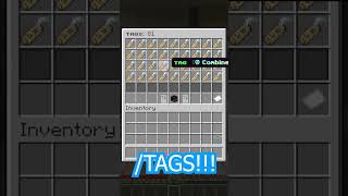 NEW TAGS on my MCPE Realm SMP Server! #shorts